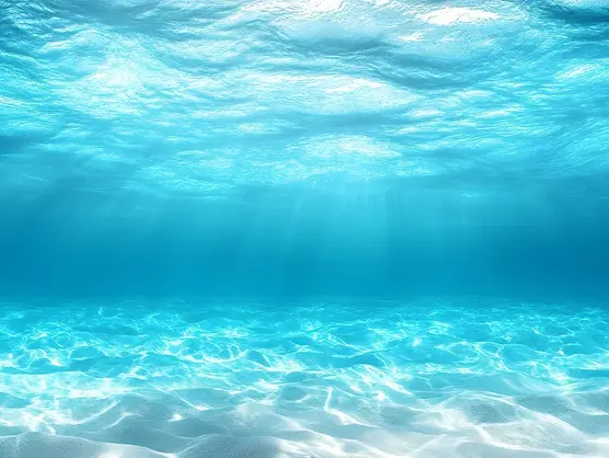 Sonnenlicht strömt durch das klare blaue Wasser und erhellt den sandigen Meeresboden. Die helle Unterwasserszene zeichnet sich durch wellenförmige Muster aus, die durch das Licht entstehen und ein Gefühl von Ruhe und Weite vermitteln.