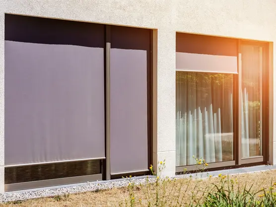Das Bild zeigt die Außenansicht eines modernen Gebäudes mit großen Fenstern, die mit violetten Rollläden bedeckt sind. Das Sonnenlicht wirft einen warmen Schein auf die Wände. Im Vordergrund sind eine Grasfläche und blühende Pflanzen zu sehen.